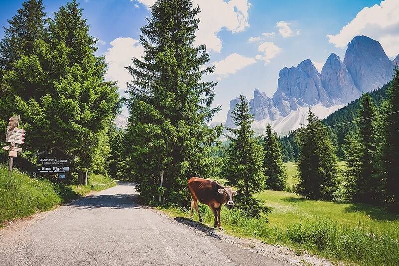 那个不为人知的阿尔卑斯仙境——Dolomiti(多洛米蒂)