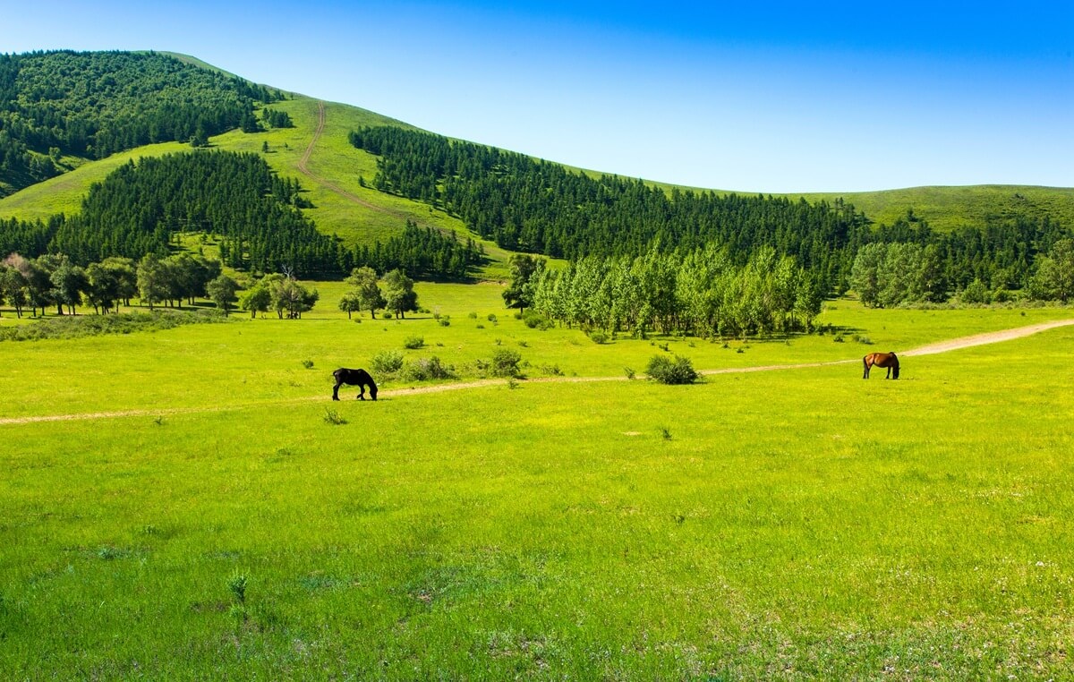 中国最坑的十大旅游景点，去了多半会后悔，喜欢回国旅游的朋友们最好注意一下！